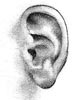 udienze