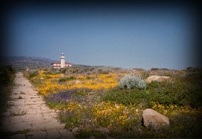 il faro